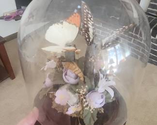 Taxidermy Butterfly Display Under Glass Dome with Artificial Flowers