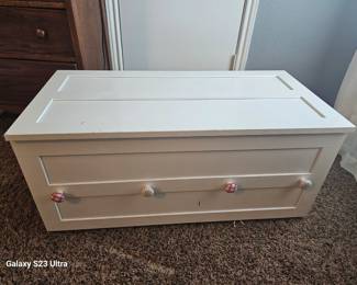 toy or storage trunk