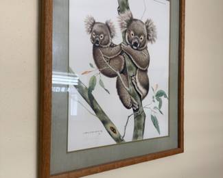 Koala bear by Jim Oliver