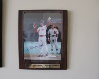 Signed Pete Rose Photo  Baseball MBL