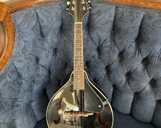 Savannah Mandolin