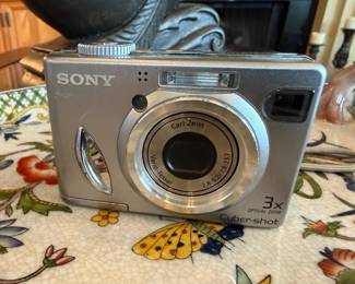 Sony Digital 3x Zoom Camera