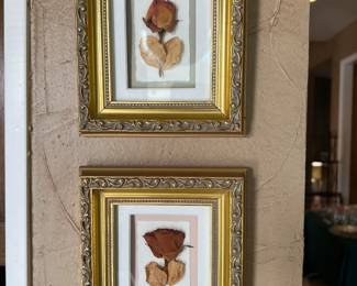 Pressed flowers and beautiful frames