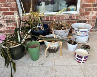 Flower pots and plants