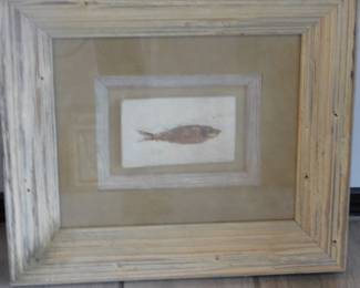 Knightia.  Fossil relative of present day herring.  Green River Wyoming formation, approximately  50 million years old. $60 