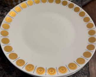 69 Piece set of Rosenthal Charlottenburg china