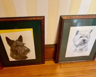 Framed Sketches