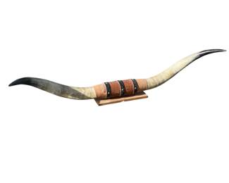 4.5FT Longhorns Mounted Long Horn Steer Cattle Texas Western 54"
