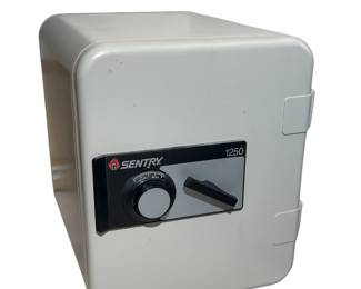 Sentry 1250 Fire Safe Combination Lock with Combo