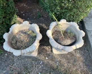 2 Cement Planters