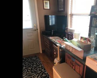 Vizio flat screen tv, Bose system, Humidifier, coloring books!