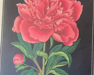 Carnation Flower Cavallini Archival Poster
