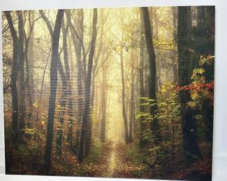 Canvas Art work - priced to sell