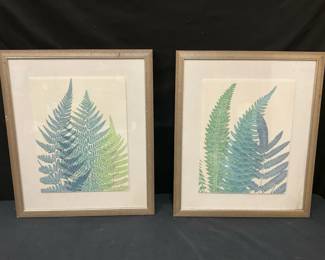 Layered Ferns Color Lithographs