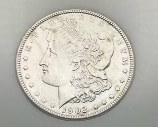 1902 Morgan Dollar