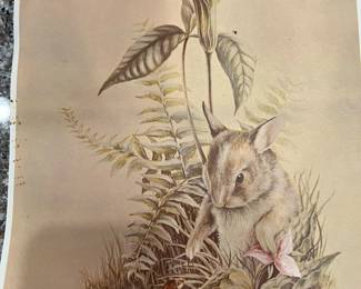 VINTAGE PRINT - PART OF SERIES - UNFRAMED