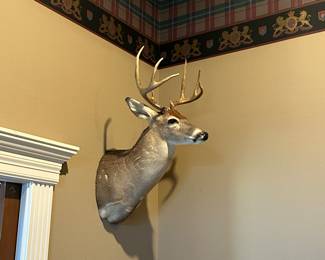 deer mounts