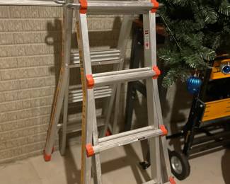 Multi Use Adjustable Ladder