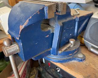 vice