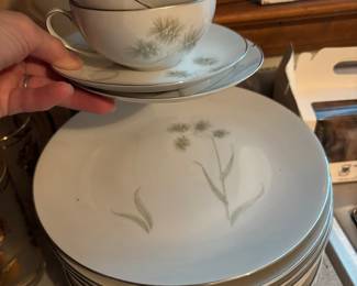 Midcentury Vita Craft Greenbriar China Collection