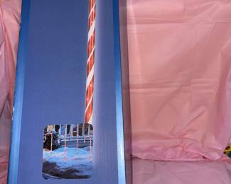 Outdoor Lighted Candy Canes $8.00