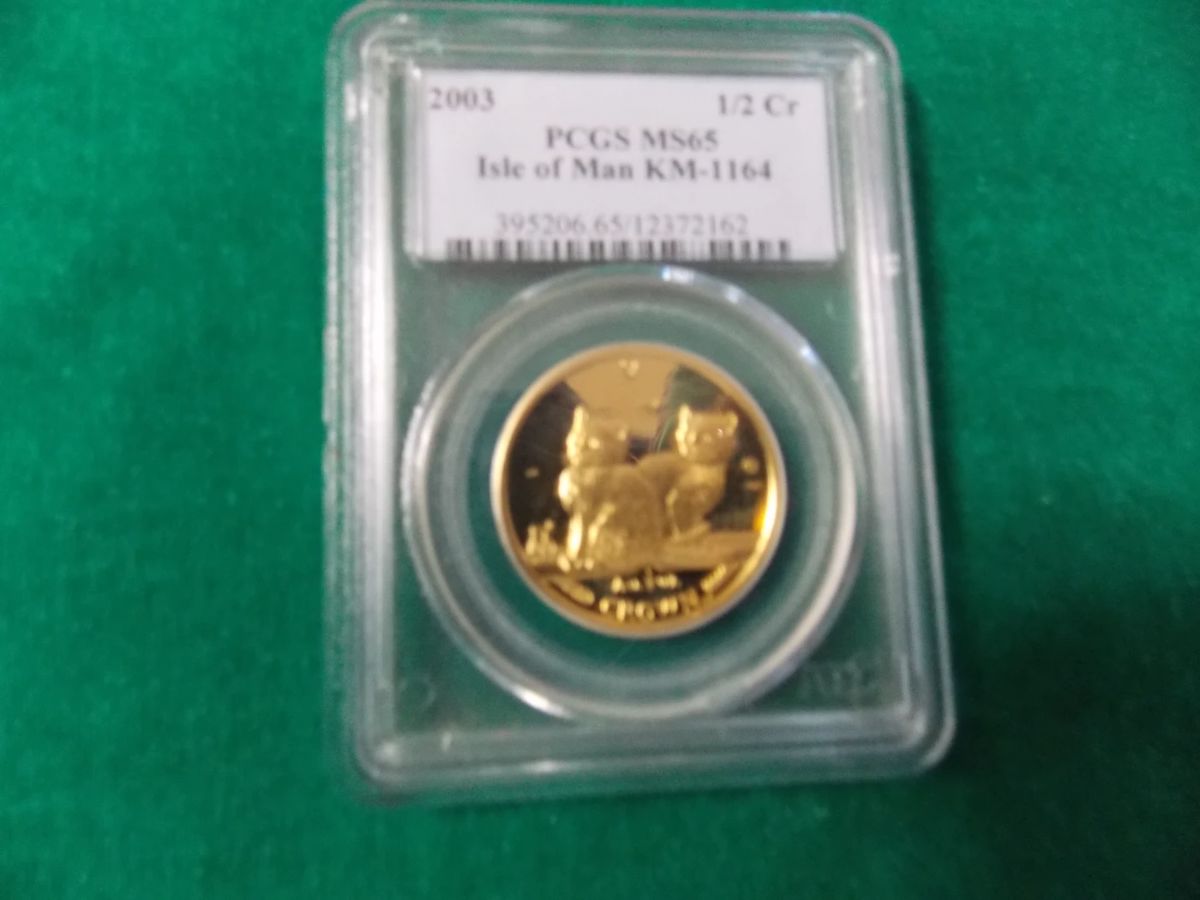 1/2 Crown or 1/2 oz. gold coin