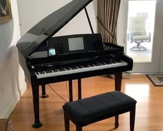 Van Koevering Petite Grand Interactive Piano