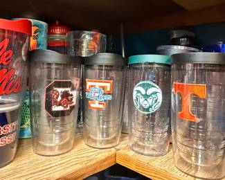 Tervis University Themed Insulated Tumblers