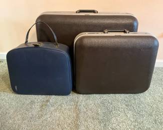 Vintage DelSey Suitcases 