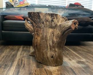 06 Let The Outside In GlassTop Tree Stump Coffee Table 