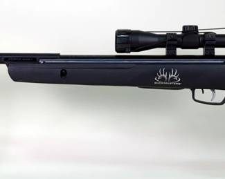 Gamo Buckmasters 5.5 (.22) Cal Air Rifle SN# 04-1C-280077-14, Cabela's Rimfire 4x32 Scope 