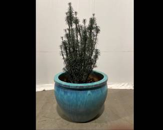 Lot 5021 XXL Outdoor Large Garden Planter Pot