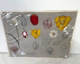 Lot 350 Antique French Art Nouveau Flowers Drawing C. Thirion Signed Tulipes