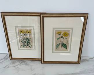 Lot 361 Antique Handcolored Engraving Art  S. Curtis Glazenwood