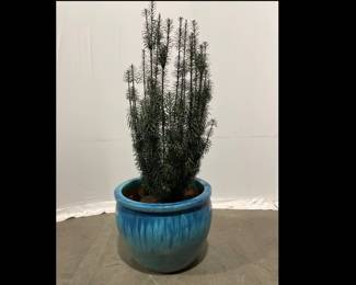 Lot 5022 XXL Outdoor Garden Planter Pot