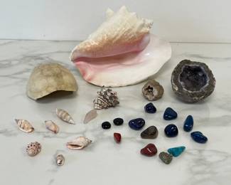 Lot 590 Natural Curiosities Seashells Tortoise Shell Geode Polished Stones