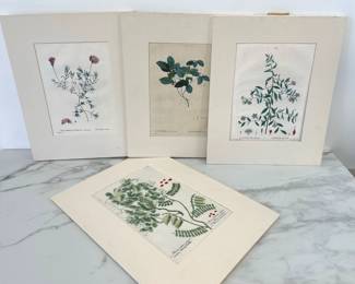 Lot 359 Vintage Botanical Art Prints