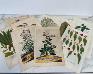 Lot 366 Antique Handcolored Botanical Art Prints