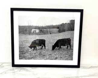 Lot 696 Andrew Ross Artist Proof  Signed Photograph Joint Crack Creek Cows Art