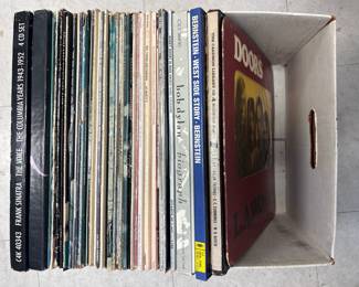 Lot 263 Vintage Vinyl Records DoorsDylanSinatra