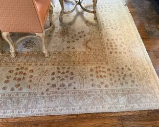 Area Rug (22 x 12)