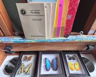 Framed butterfly specimen display cases