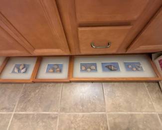 Framed seashell shadow box prints, set of 6, coastal bathroom decor