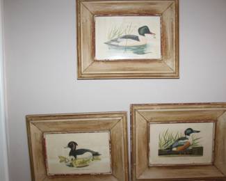 vintage duck prints