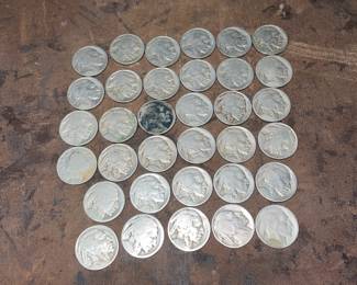 Big collection of buffalo nickels