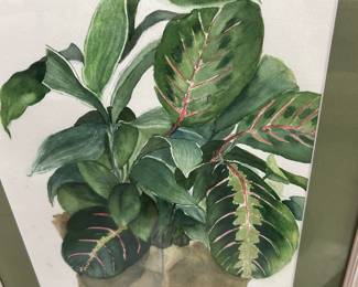 New Orleans plant watercolor by Grace Gough