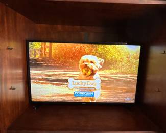 BUY IT NOW! $100.00. Call Jan at 314 960-5700. Samsung 40" Smart TV