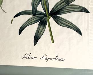 BUY IT NOW! $125.00 each. Call Jan at 314 960-5700. Lilium Laperlium. 40" W x 50" L.
