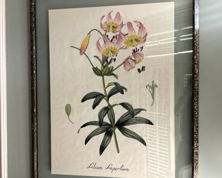 BUY IT NOW! $125.00 each. Call Jan at 314 960-5700. Lilium Laperlium. 40" W x 50" L.