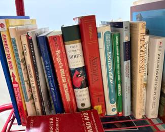 Master bathroom - books